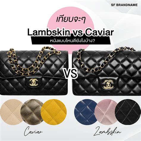 Chanel lambskin vs caviar